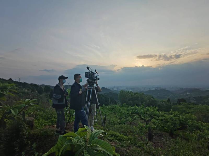 创意破圈！泽州县电商产品宣传视频用故事化叙事引爆流量