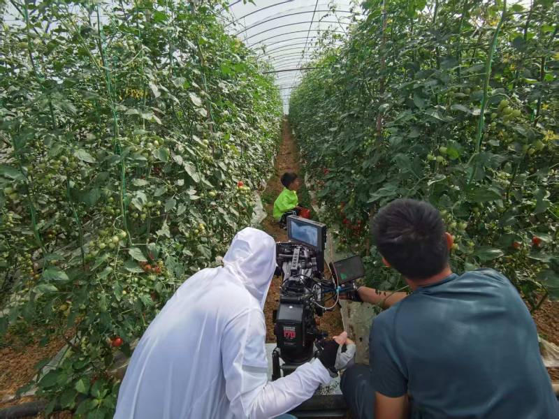 泽州县产品宣传视频拍摄公司进阶指南，助力品牌抢占传播高地